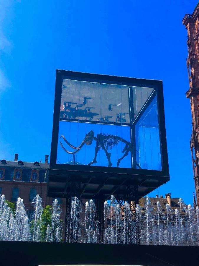 Appartement Le Moment Bleu à Strasbourg Extérieur photo